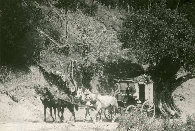 Devonport to Waiwera Mail Coach, 1900