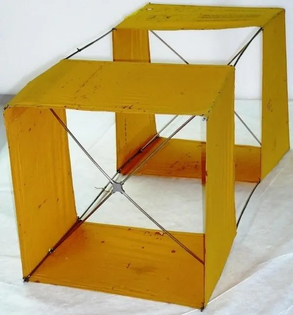 Box Kite
