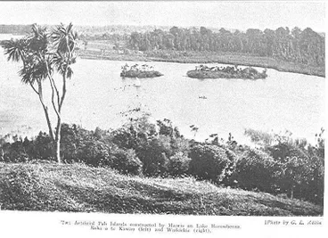 Artificial Islands, Lake Horowhenua Image: Artificial Islands, Lake Horowhenua