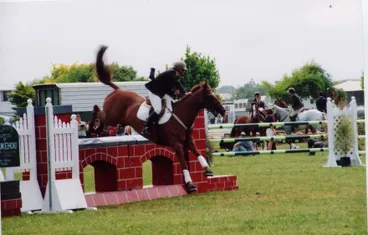 Image: Horowhenua A P& I Show, 2002