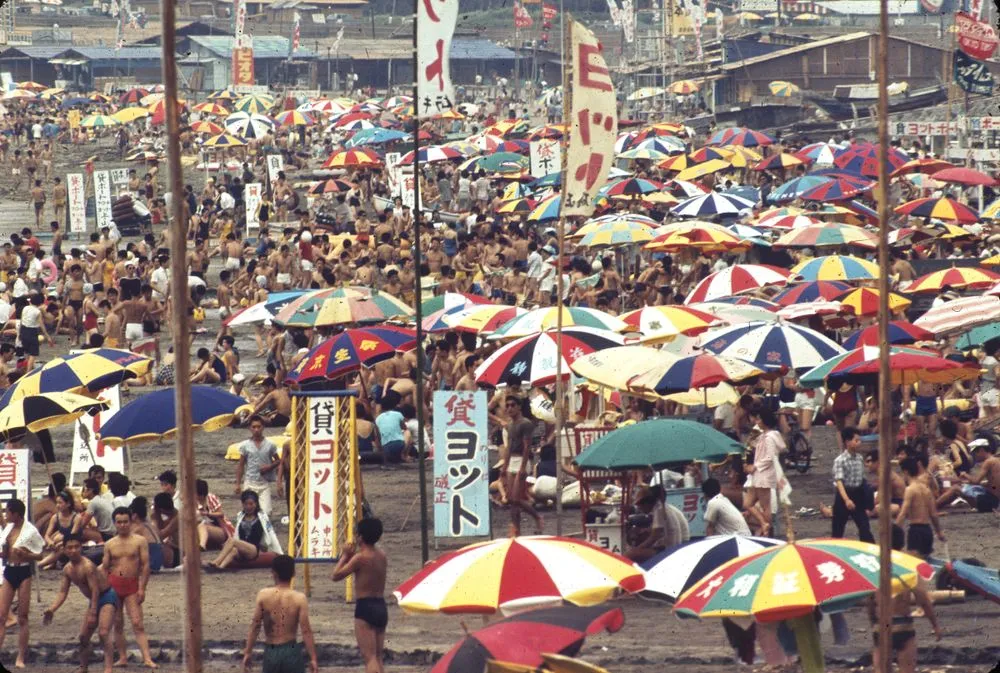 Japan Series: Kamakura