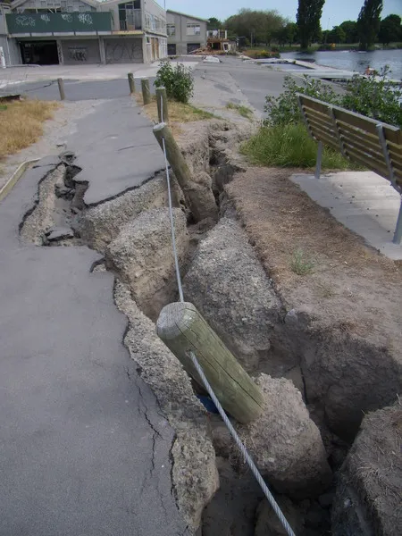Porritt Park cracked footpath