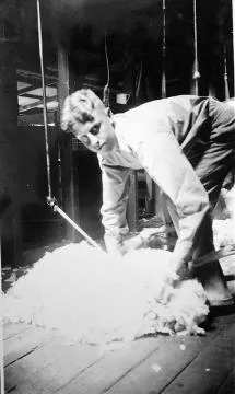 Geoff Cameron shearing : digital image