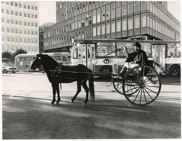 Image: Horse drawn cart and driver