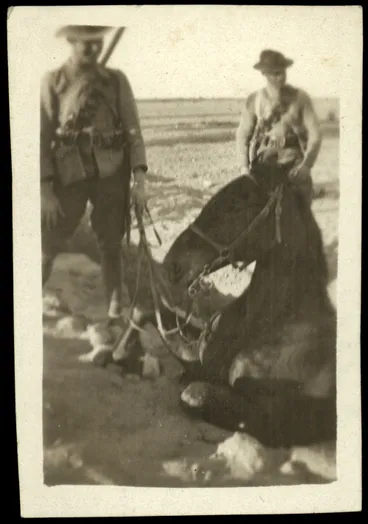 Image: WWI Photograph Album- Gallipoli. [loose photo]