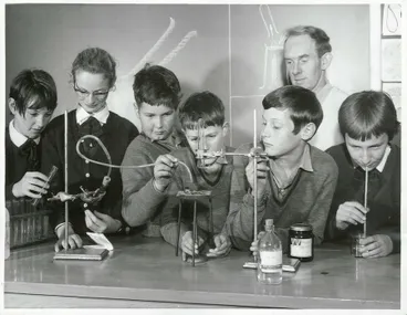 Image: Evans Bay Intermediate School