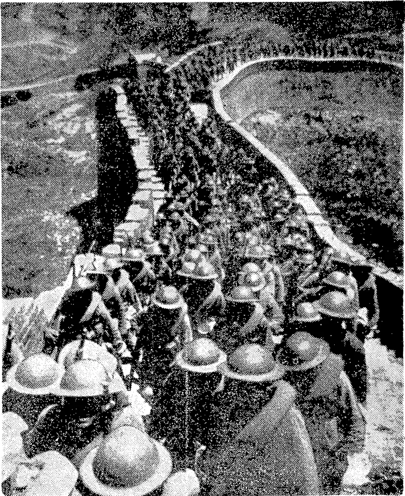 Mr. H. Reynolds Bach, B.bc, ivho has been appointed Borough Engineer at Lower Hutt. At present Chinese soldiers marching on the Great Wall in the present he occupies a similar position at operations against the Japanese, Onehunga. (Evening Post, 28 September 1938)