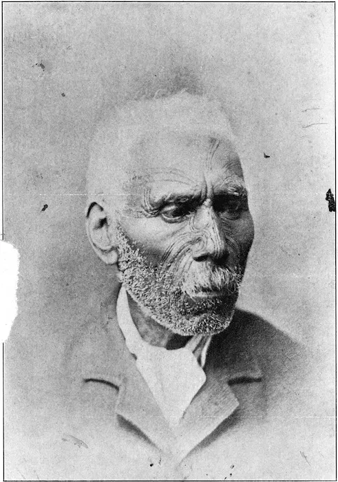 Possibly Wiremu Kingi Te Rangitake