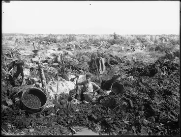 Image: Maori gum diggers
