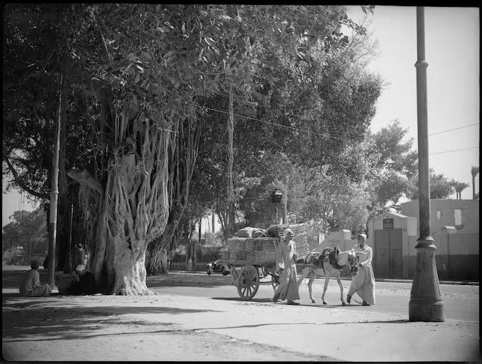 Donkey carts loaded with crates in Cairo, Egypt - Photograph taken by George Kaye