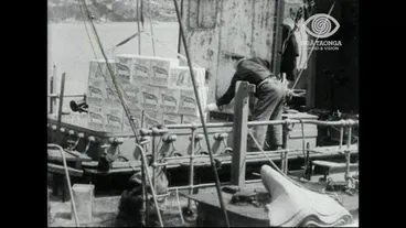 Image: THE PETROLEUM INDUSTRY IN NEW ZEALAND