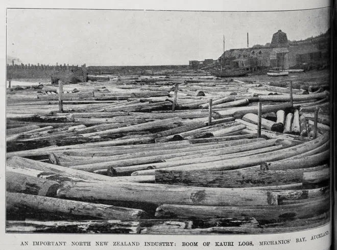 An important North New Zealand industry: Boom of Kauri logs, Mechanics Bay, Auckland