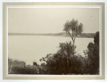 Image: Lake Horowhenua