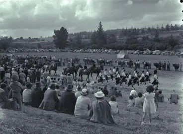 Image: Wellsford Show.
