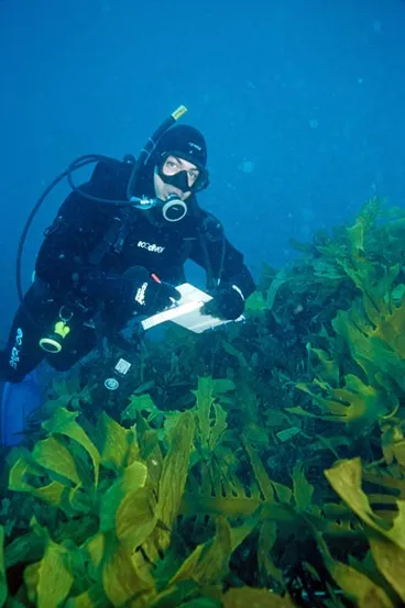 Image: Studying a marine reserve