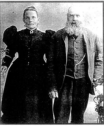 Image: Woolford Family- Research Information- 1875 Passengers