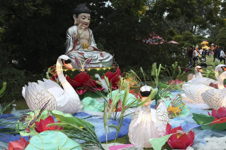 Chinese lanterns, Auckland Lantern Festival.