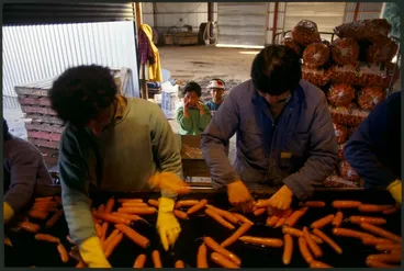 Image: Carrots being processed for market, Pukekohe