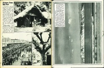 Image: Young Nick's Head