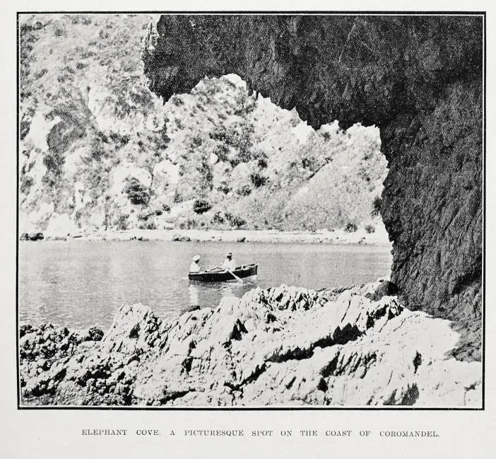 Elephant Cove, a picturesque spot on the coast of Coromandel