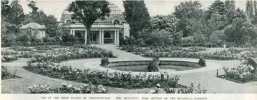 Image: One of the show places of Christchurch: the beautiful rose section of the Botanical Gardens