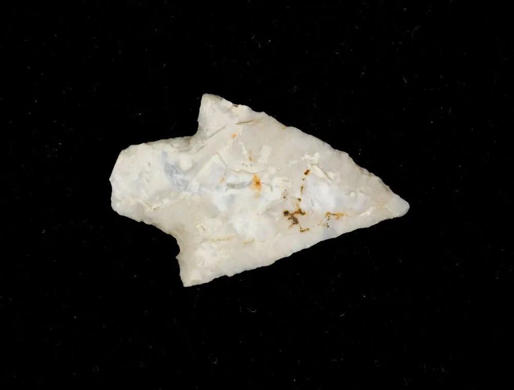 Projectile point