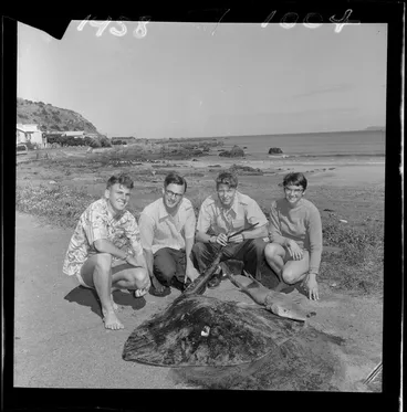 Image: Stingray and shark caught at Lyall Bay, Wellington