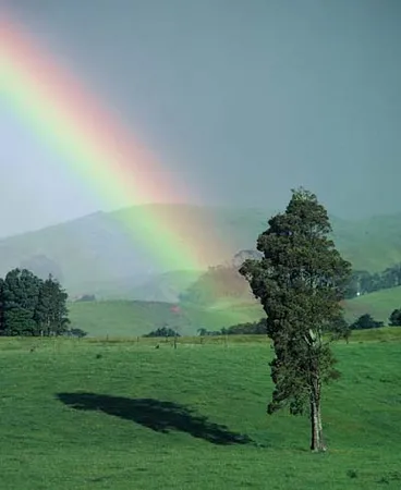 Image: The climate and the land