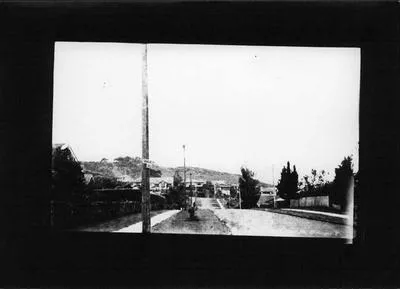 Douglas Ave, SW2. Mt Albert