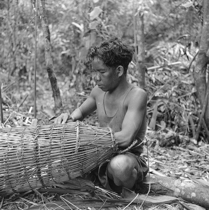 Man weaving plant fibre to create a basket-like item, Malaya