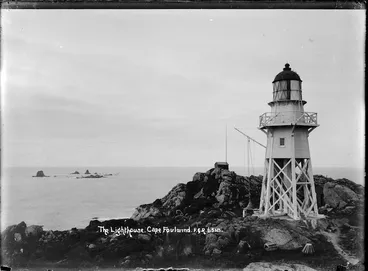 Image: The Lighthouse, Cape Foulwind