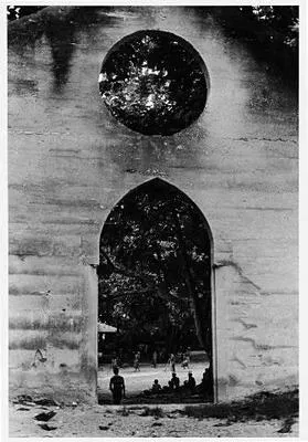 Cricket, Fakaofo, Tokelau 1971