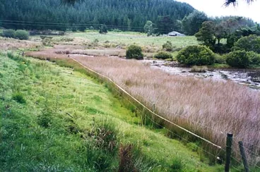 Image: Clean Streams Accord