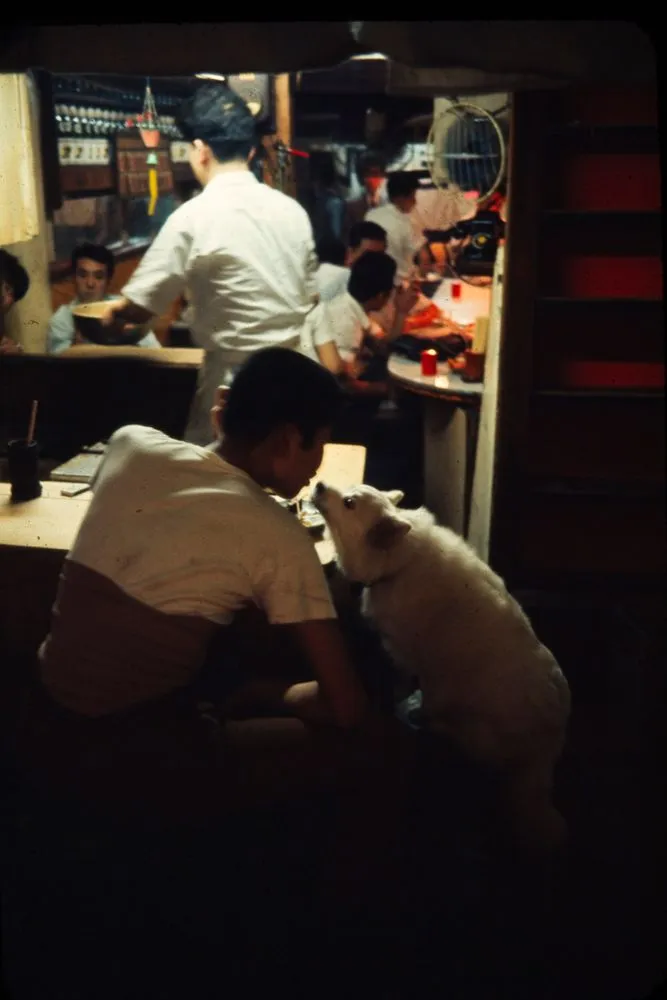 Japan Series: Tokyo Night