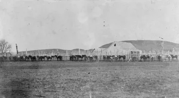 Waiohiki Image: Waiohiki