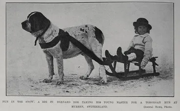 Image: Fun in the snow