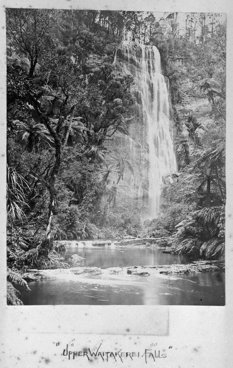 Upper Waitākere Falls, Cascade Kauri Park