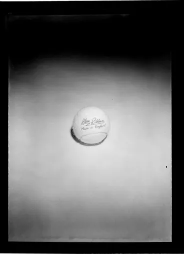 Image: Blue Ribbon tennis ball