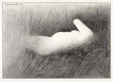 Image: Encounter Haast Bridge V