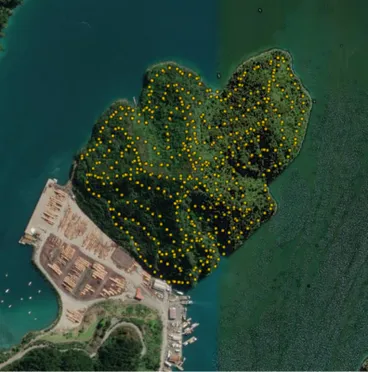 Pest Eradication, Monitoring and Control Image: Pest Eradication, Monitoring and Control