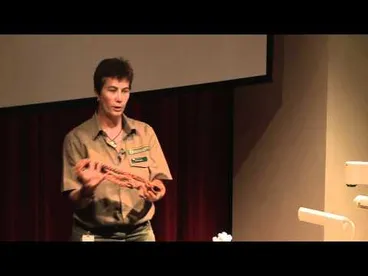 Image: Trading Wildlife with Anita Jacobs