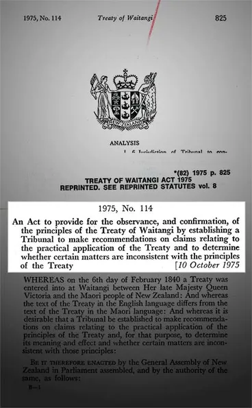 Treaty of Waitangi Act 1975 Image: Treaty of Waitangi Act 1975
