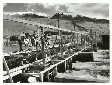 Image: Education - Correspondence School