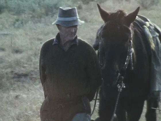 Country Calendar - Billy Riddell, Drover