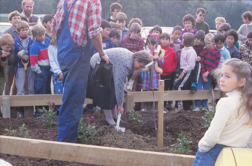 Arbor Day 1987; Councillor Shirley Russell plants a tree in Trentham Memorial Park.
