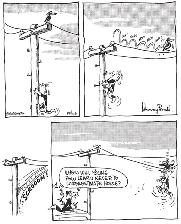 Image: Footrot Flats cartoon