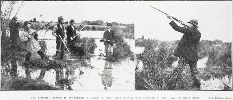 The shooting season in Southland: a party of five near Winton who secured a good bag of grey duck
