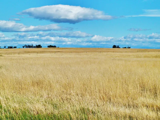 Christchurch Summer Skies