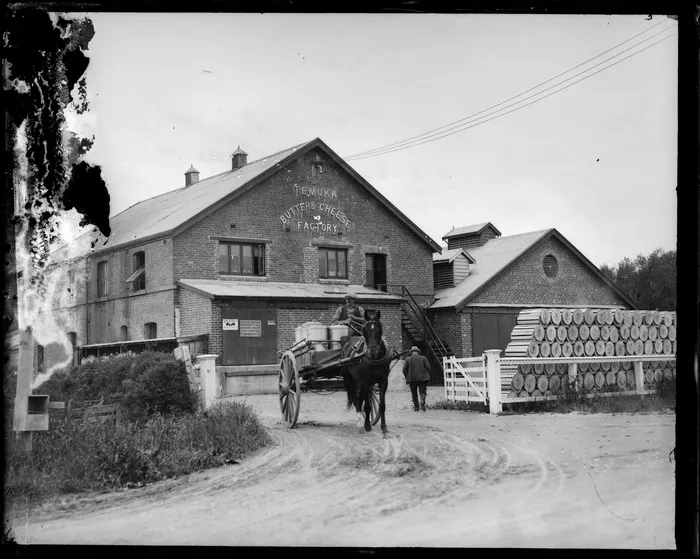 Temuka, Geraldine County, Canterbury, showing Butters & Cheese factory and horse and cart with [milk?] containers