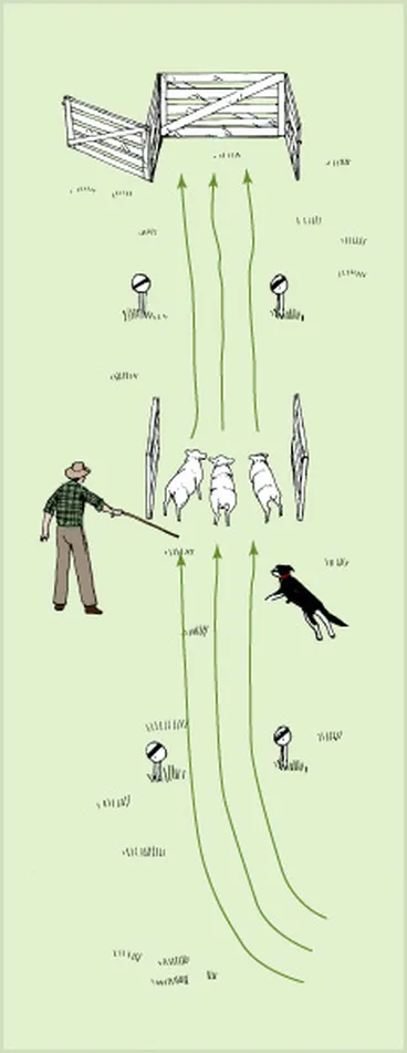 Image: Short head and yard